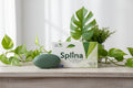 3 barsx100g Splina Soap
